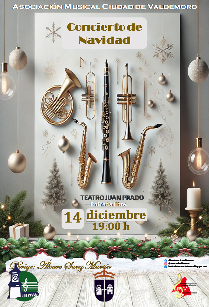 Cartel del concierto