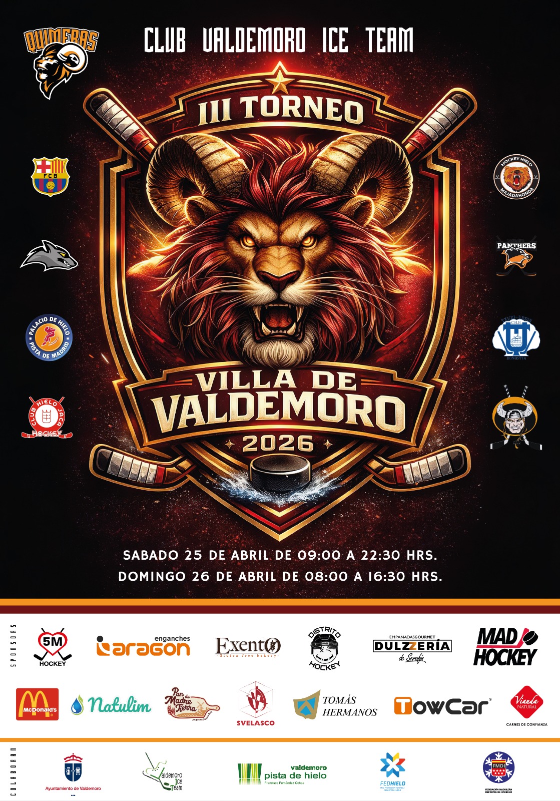 Cartel del III Torneo Villa de Valdemoro de hockey sobre hielo