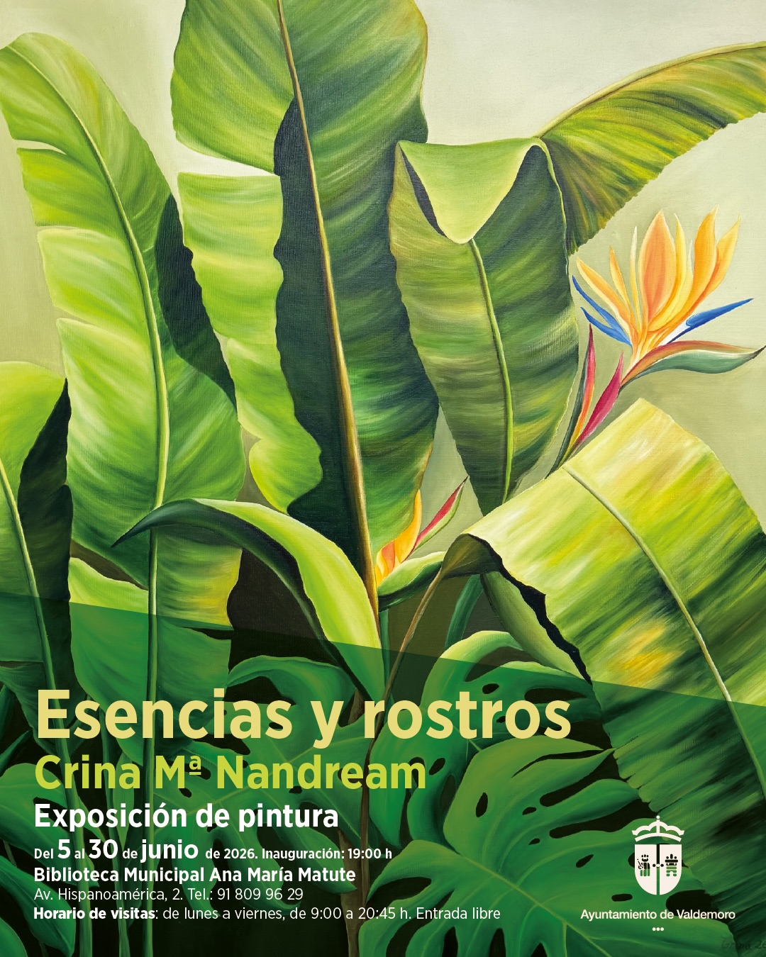 Esencias y rostros