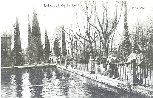 El estanque del Juncarejo