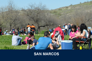 Fiesta San Marcos