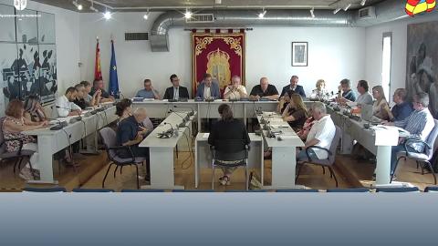 Sesión de pleno