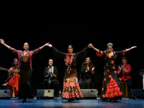 Bailadoras