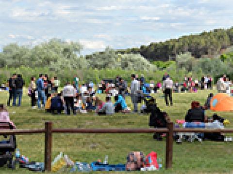 Personas sentadas en el cesped