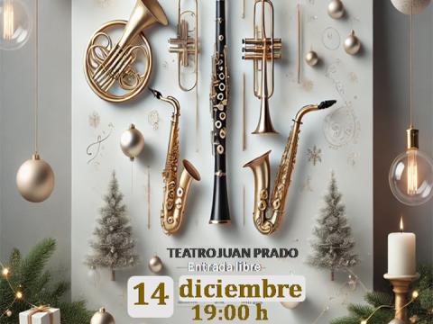 Cartel del concierto