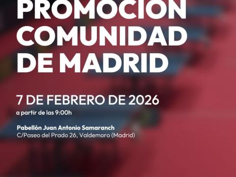 VI Open de Promoción