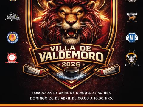 Cartel del III Torneo Villa de Valdemoro de hockey sobre hielo