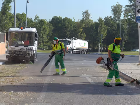 Operarios limpian las hojas