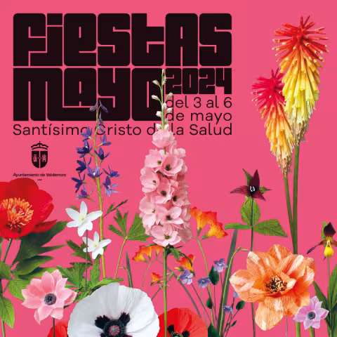Cartel de las fiestas