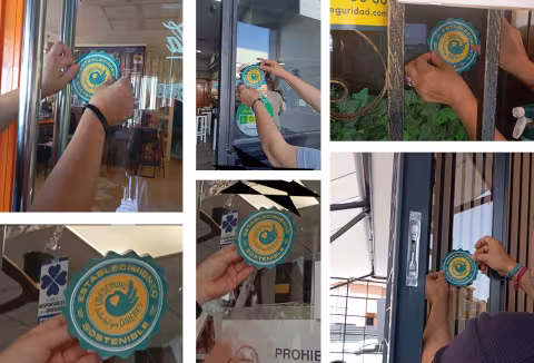 Pegatina